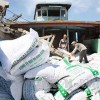 Phú Yên đề nghị hỗ trợ dân hơn 760 tấn gạo trong dịp Tết