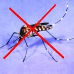 Diệt muỗi hiệu quả nhất