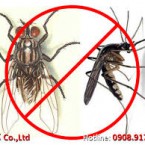 Diệt ruồi giá rẻ