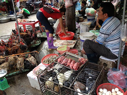 Gia cầm được bán và giết mổ công khai tại các chợ gần khu vực dân cư sinh sống           Ảnh: NGỌC DUNG